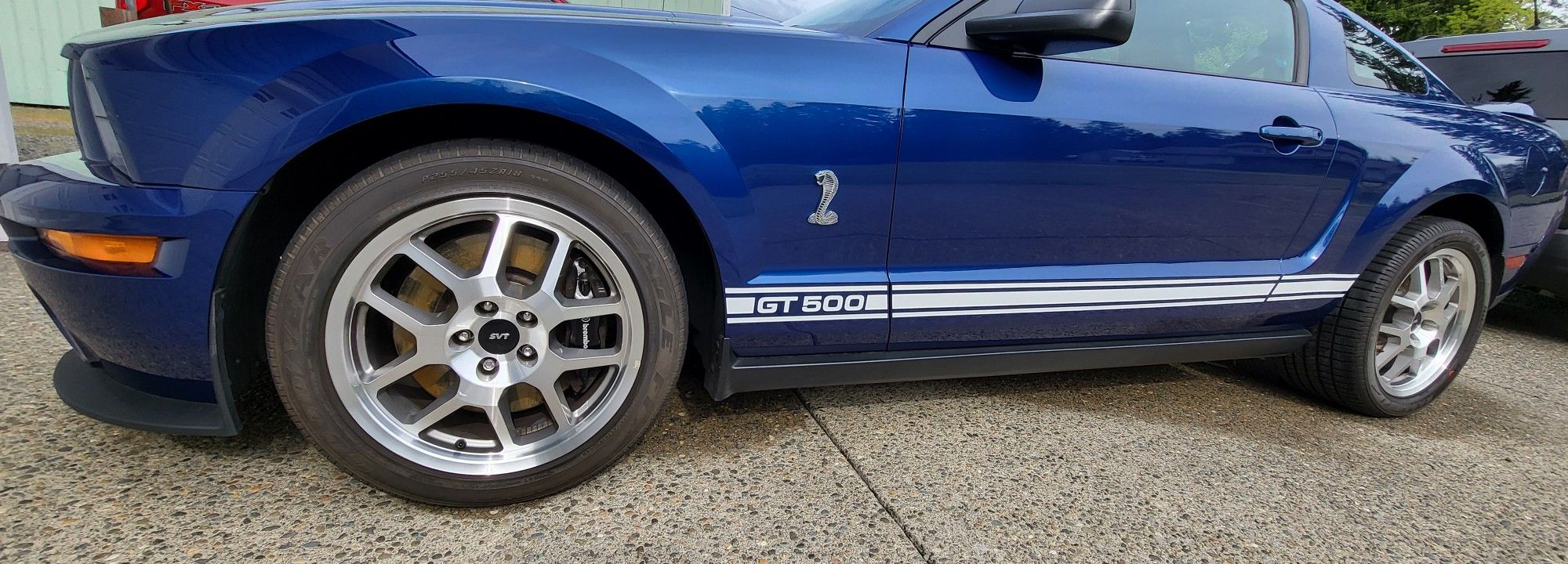 2008 Ford Shelby Gt500