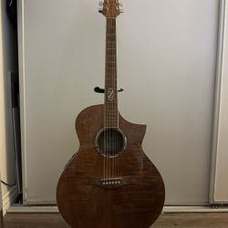 Acoustic Guitar 