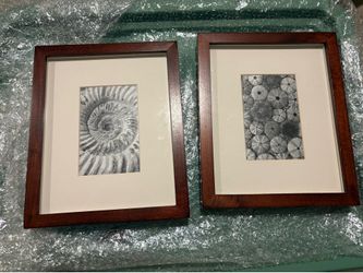 Pottery barn picture frame art set
