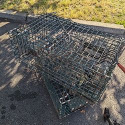 Wire Lobster Traps 