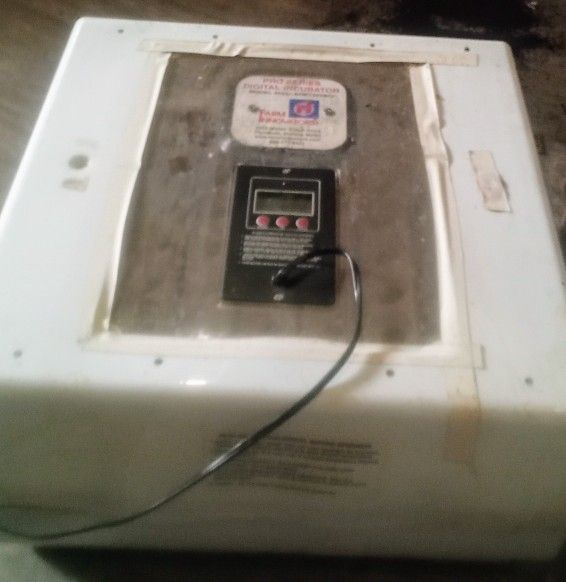 Pro Series Digital Incubator By Farm Innovators 