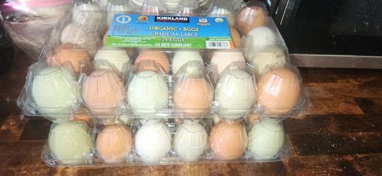 Fresh🍳