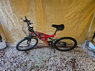 Bicycle In Red 26