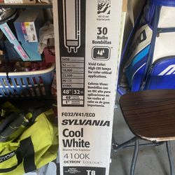 Fluorescent bulb - Free