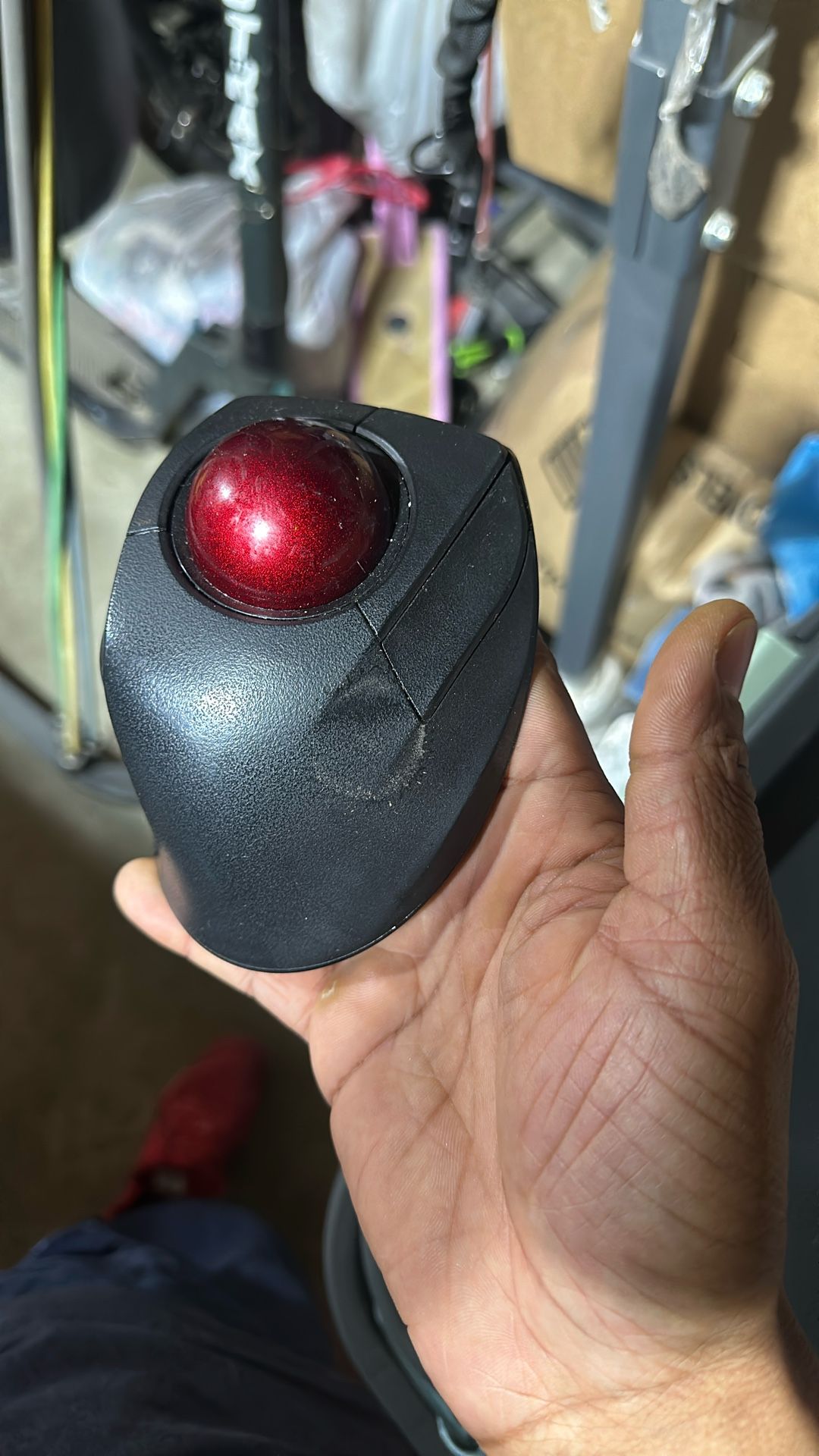 Mouse