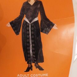 Adult Gothic Robe