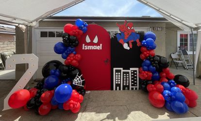 Spider Man Backdrops