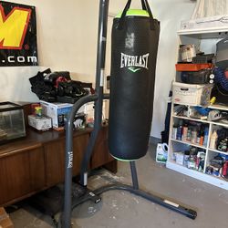Everlast Punching Bag AND Stand