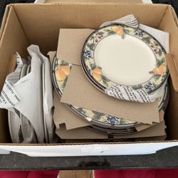 Mikasa CAC29 Garden Harvest 22-Piece Plate Set + Salt Pepper (will separate)