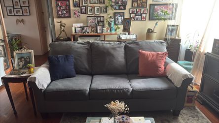 Free Sofa Bed