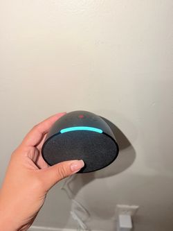Echo Amazon