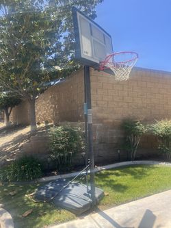 Basketball Court