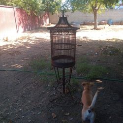Bird Cage