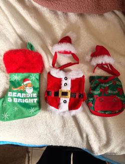 Bearded Dragon Christmas Outfits And Stocking