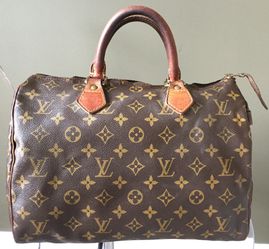 LV Speedy Bag