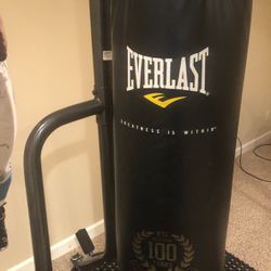 80lb Everlast Punching Bag With Stand