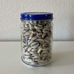 African Cowrie Shells