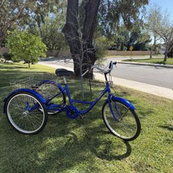 Blue Tricycle 