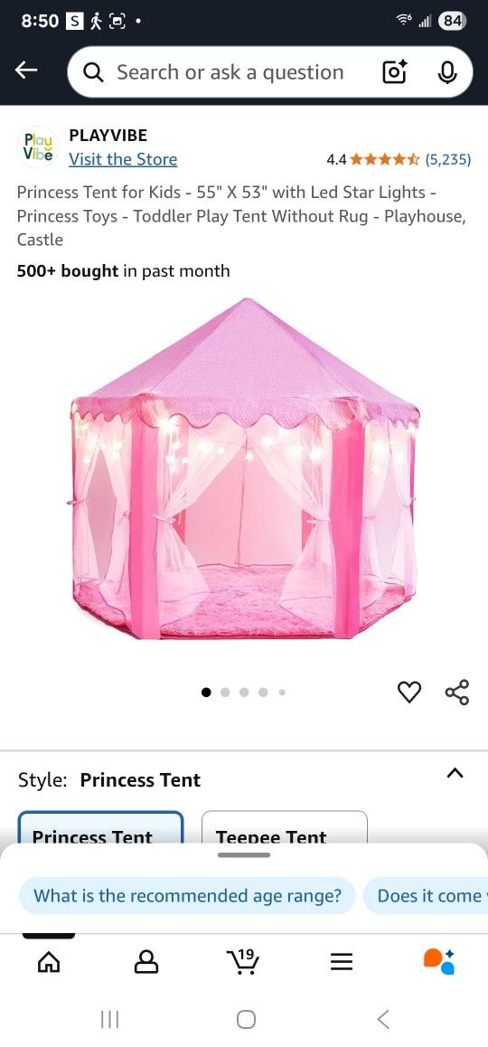 Princess Tent For Kids