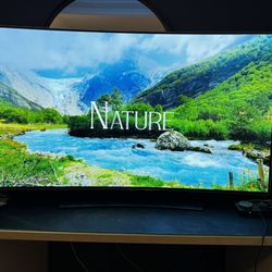 LG OLED Curved 55 Inch TV