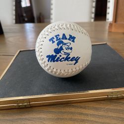 Walt Disney Team Mickey Printed Signatures Donald Pluto Goofy Softball Tub0