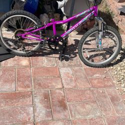 Bicycle 20” Inches Bike New Tires & Tubes 5 Speed