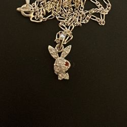 Red Eye Playboi Bunny 