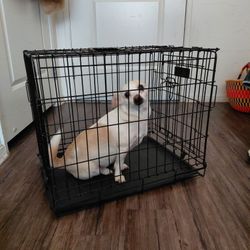 PET CRATE COLLAPSIBLE 