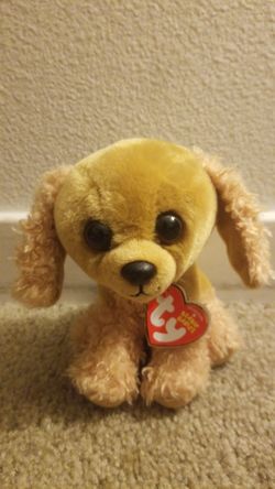 Beanie baby's TY dog plushie ♡