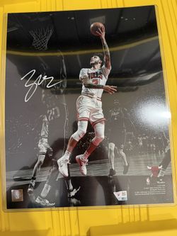 Lonzo Ball Signed Chicago Bulls 11x14 Fanatics Photo