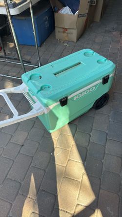 Igloo Cooler 