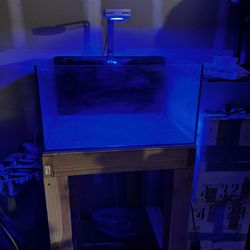 Lagoon 30 Gallon Aquarium, Water Box.