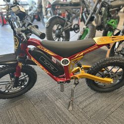 Tuttio ARC-I Kids Electric Bike 750W/36V