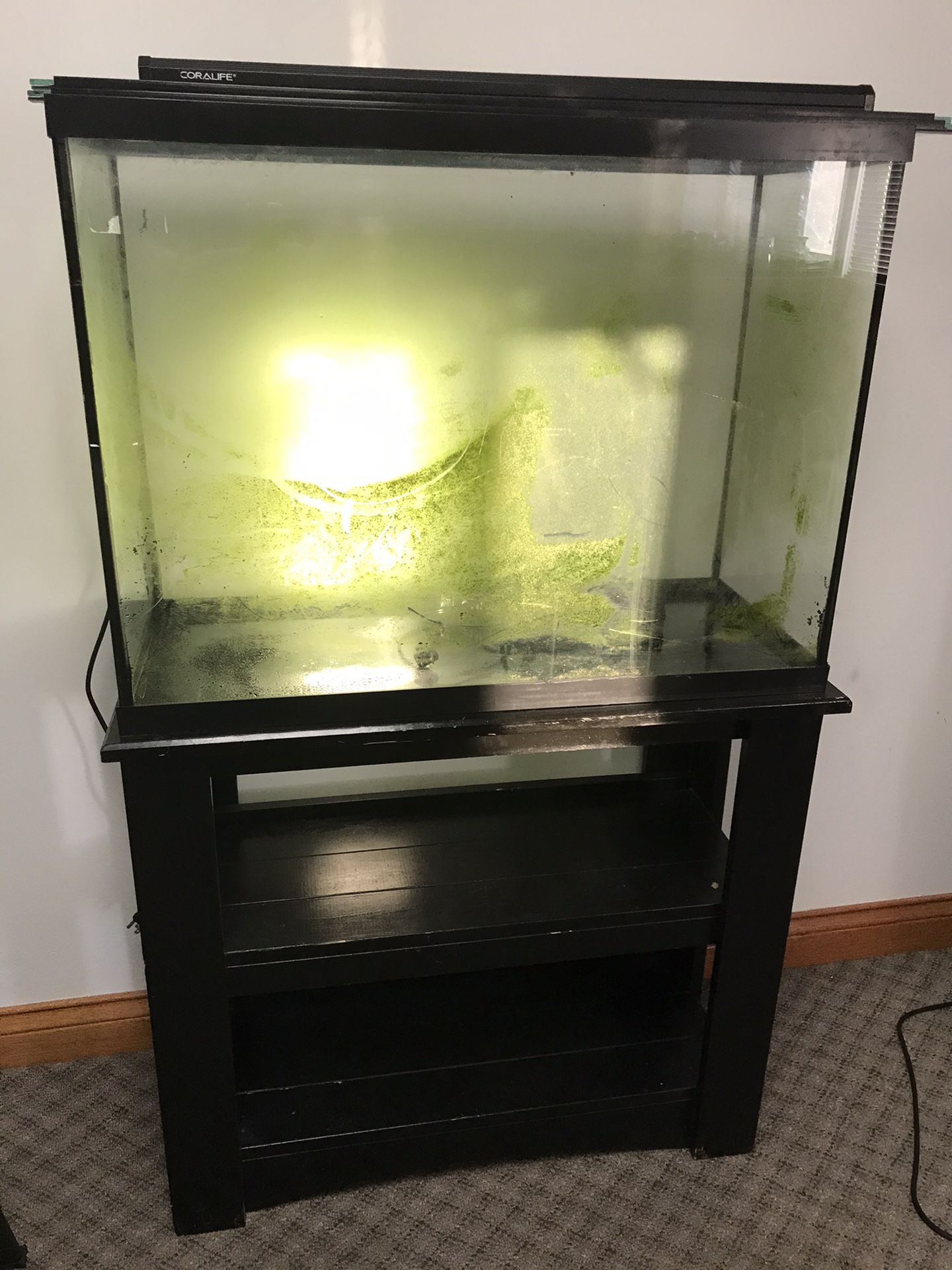 37 Gallons Fish Tank And Stand