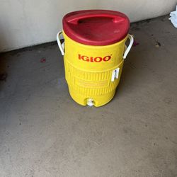 Igloo Cooler