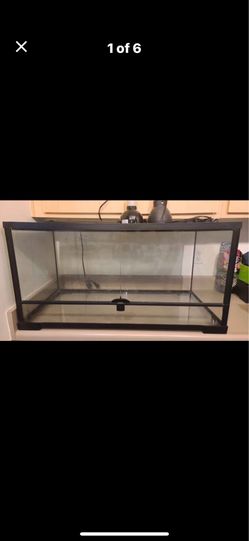 Thrive reptile terrarium 18x18x36