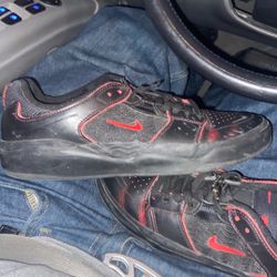 Nike Skateboard Shoes 
