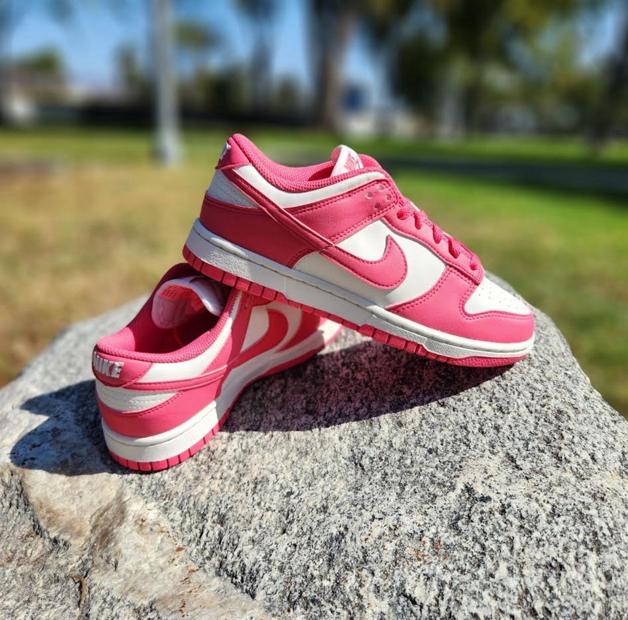 Next nature nike dunk low sneakers
