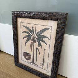 Coastal Palm Art