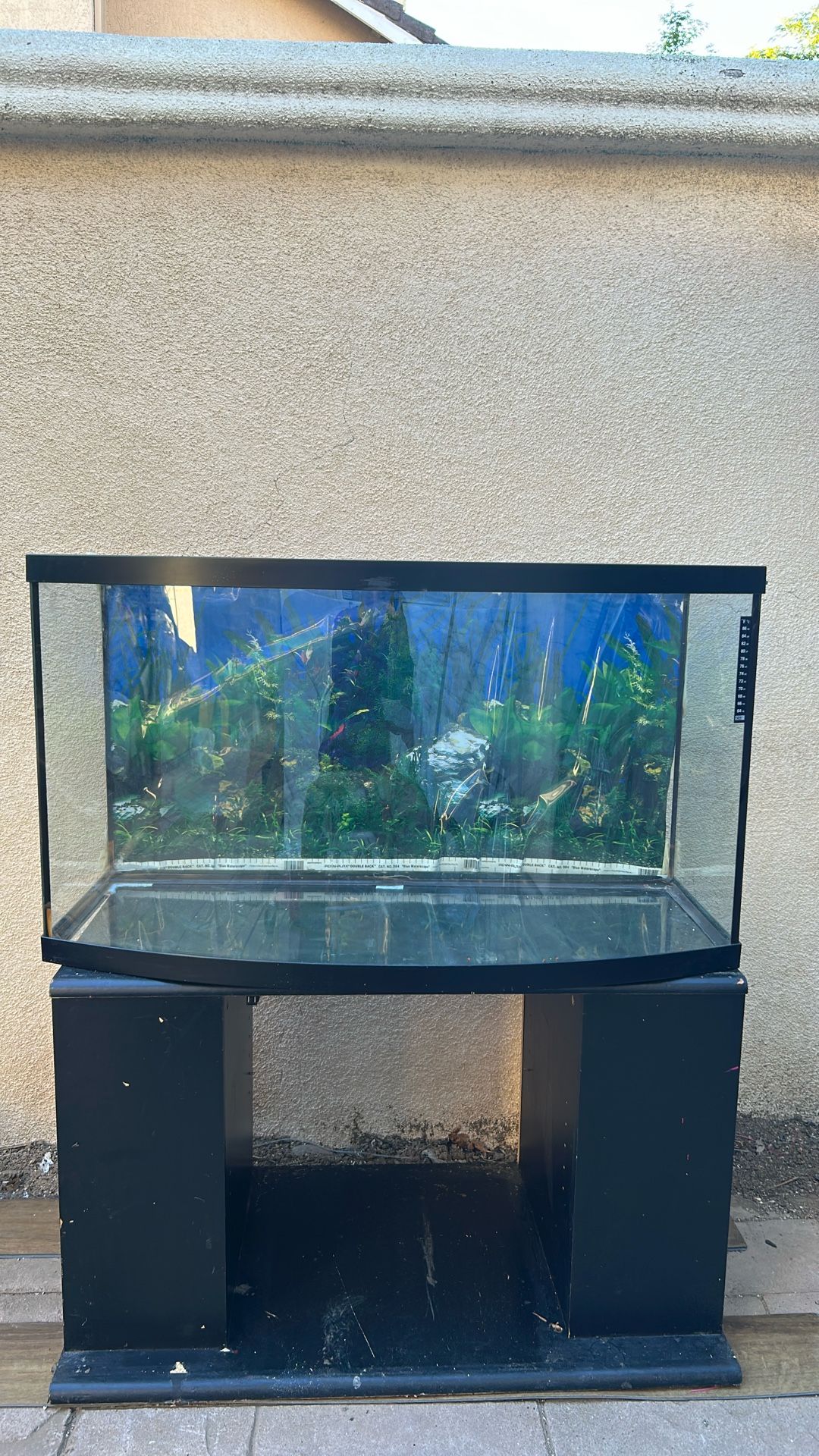 Fish Tank