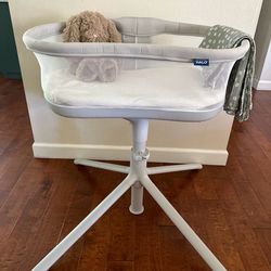 BassiNest Swivel Sleeper