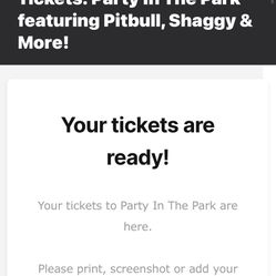 Party In The Park Ticket