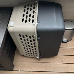 Dog Kennel