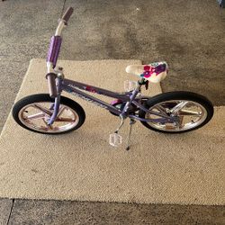 Schwinn Bike