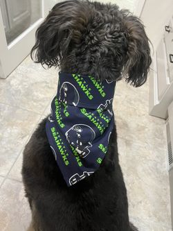 Seahawk Bandanas