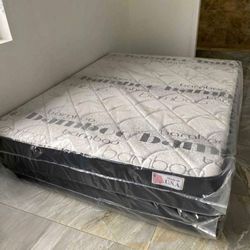 Brand New Queen Regular Mattress/ box spring free