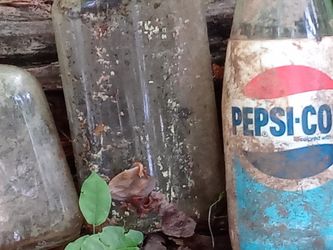 All Different Sorts Of The Cans Beer Can Soda Bottles Beer Bottles Whiskey Bottles Vintage 60s