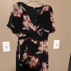 Luxology Dress Size 8