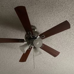 Ceiling Fan With Light Kit