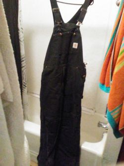 Men’s Carhartt vest, hoodie and overalls